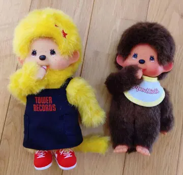 타워 레코드 몽치치