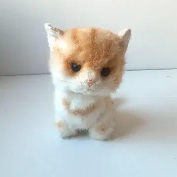 오렌지와 화이트 새끼 고양이 봉제 인형