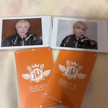 팬더드래곤 파라곤 요타 하피카