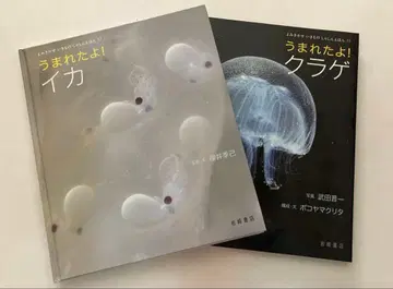 읽어주는 생물 사진 그림책 태어났어요! 해파리 태어났어요! 오징어