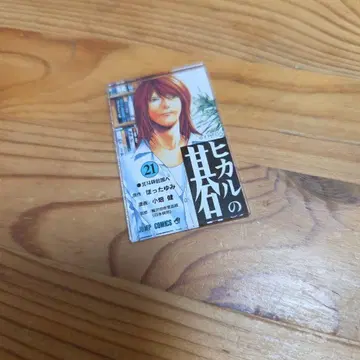 히카루의 바둑 원화전 마그넷