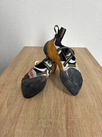 스포르티바 솔루션 38