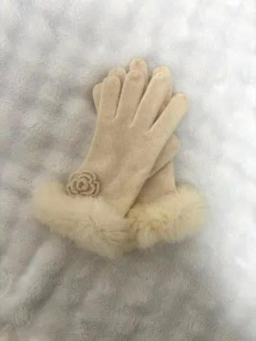 겨울용 장갑 크림색 꽃 모티브 포함