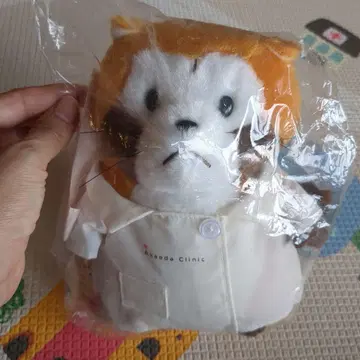 아카에 병원 한정판 라스칼