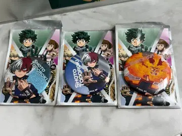 히로아카 토도로키 쇼토 엔데버 td캔뱃지