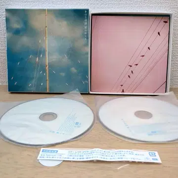 버섯 제국 / 사랑의 행방 초회 한정판 DVD 포함