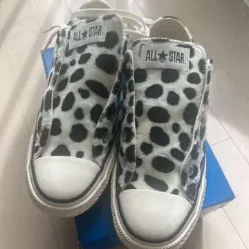CONVERSE ALL STAR 레오파드 무늬 스니커즈 4US