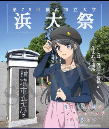 청춘 돼지 야로 청돼 하마마츠리 팜플렛