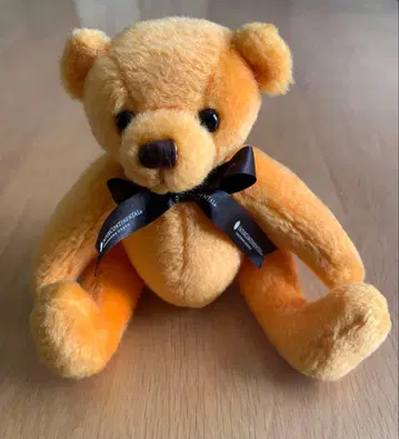 인터콘티 베어 오렌지