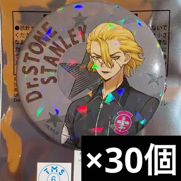 dr.stone 스키마 스토어 플라이트 자켓 캔뱃지 30개 스탠리