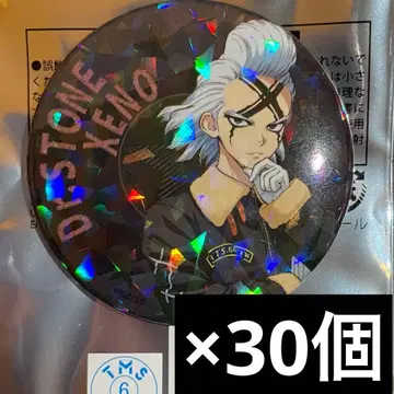 닥터 스톤 스키마 스토어 플라이트 자켓 캔뱃지 30개 제노