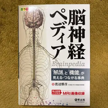 뇌신경 디어 [ 해부 ] 와 [ 기능 ] 이 보이는 연결 사전