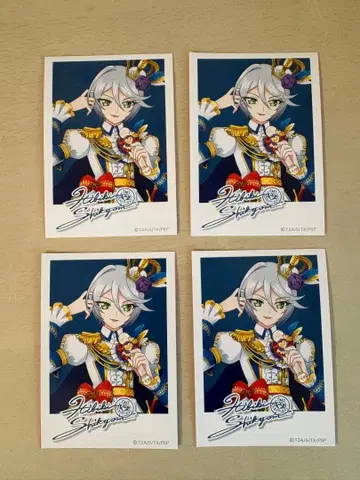 프리파라 10주년 시쿄인 히비키