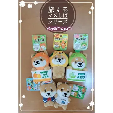 여행하는 마메시바 시리즈 5세트