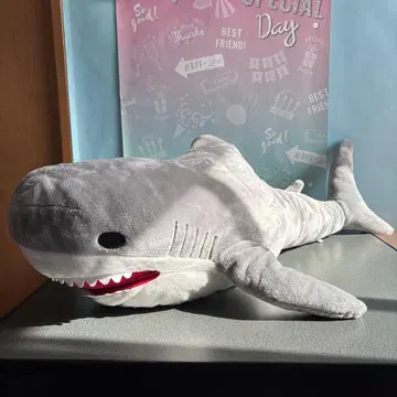 상어 봉제 인형 약 100cm