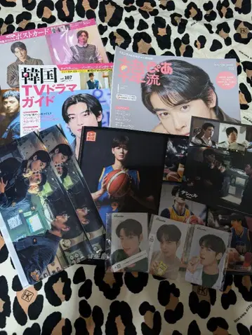 차은우 한국 드라마 포토 카드 세트