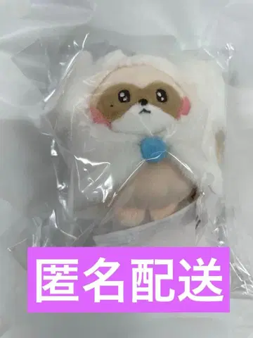 ZB1 제로니 미니 플러시 키링 장하오