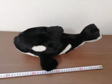 어드벤처 월드 범고래 봉제 인형