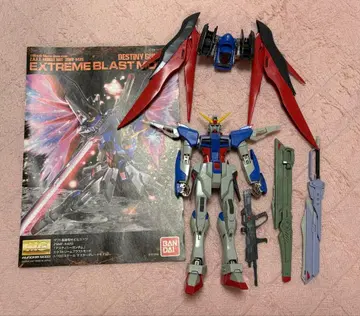 MG 데스티니 건담 익스트림 블라스트 정크