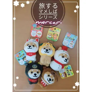 여행하는 마메시바 시리즈 5세트
