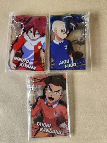 이나즈마 일레븐 영웅들의 빅토리 로드 인기 투표 기념 카드 키링