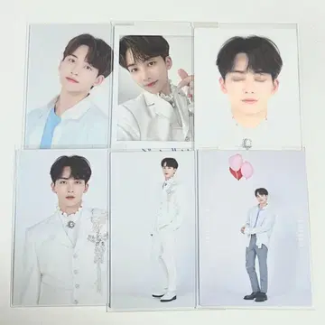 SEVENTEEN 정한 트레이딩 카드