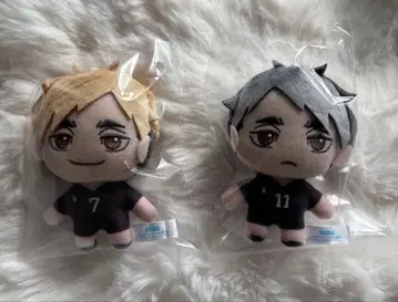 하이큐 세가 럭키 쿠지 미야 아츠무 미야 오사무