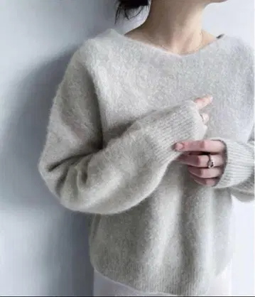 새상품급 apart by lowrys 7GCN 라쿤 2WAY 풀오버