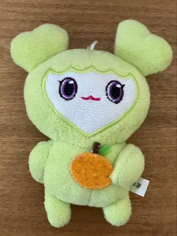 정연 정블리 백참