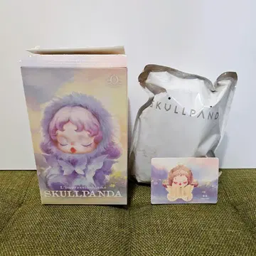 SKULLPANDA 봉제 인형 Teakwood