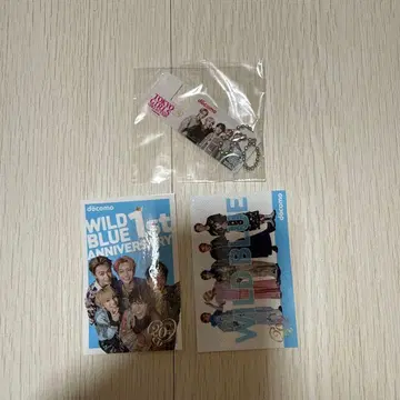 docomo x WILD BLUE 스티커 아크릴 키링