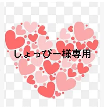 미사용 새상품 NOMADIS/노마디스 토트백 브라운