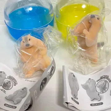 히말라야 마모트의 마모치 플로키 피규어 구이잉 네오치 순전