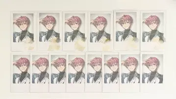 코우 레오 폴라로이드 14장 세트