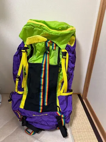 CHUMS 참스 다기능 백팩 보라색 그린 컬러풀 백팩