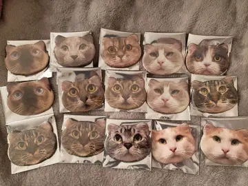 MOCHA 하뉴 캔 배지