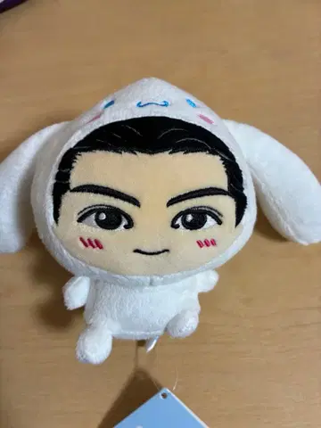 하세가와 신 시나몬