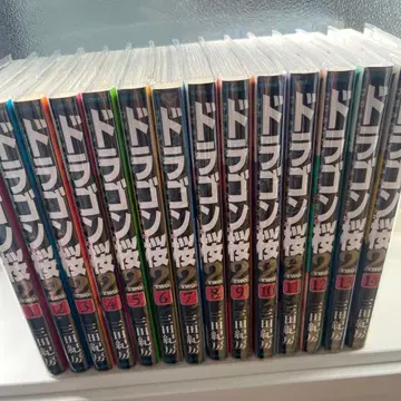드래곤 사쿠라 2 1~14권