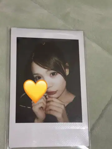 후루사와 리사 폴라로이드 마스다 아야노 생탄제