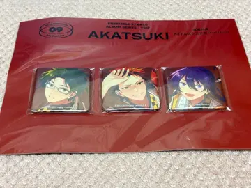 앙스타 홍월 앨범 특전 캔뱃지 세트