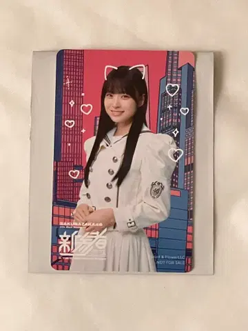 사쿠라자카46 신참자 마츠모토 카즈코