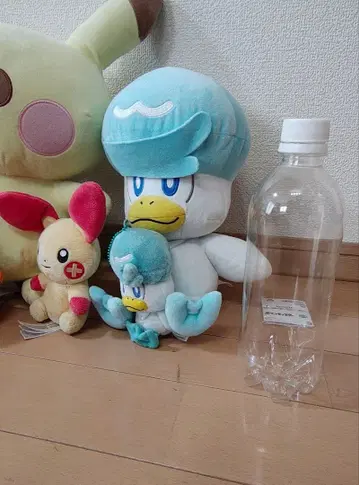 포켓몬 봉제 인형