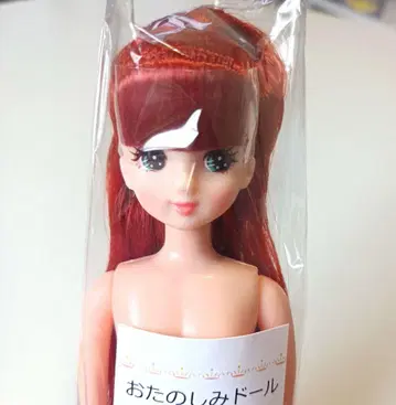 즐거운 인형 히나짱 리카짱 프렌드 캐슬