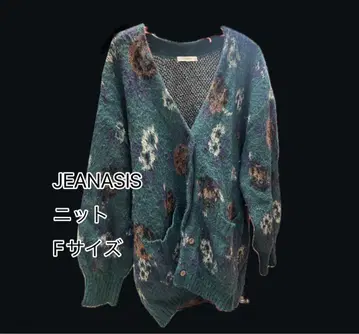 JEANASIS 꽃무늬 니트 F 사이즈 그린 계열