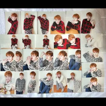 와다 마사나리 브로마이드 세트