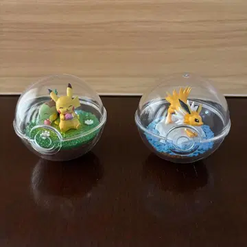 포켓몬 테라리움 컬렉션 썬더 피카츄 & 나에톨