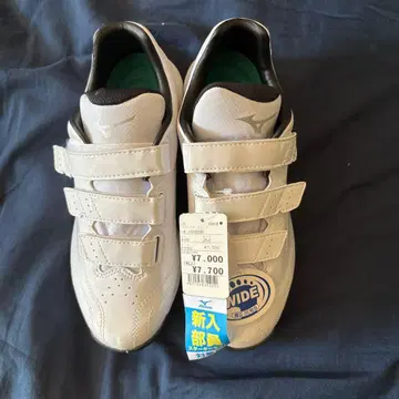 Mizuno 트레이닝 슈즈 25.0cm 화이트