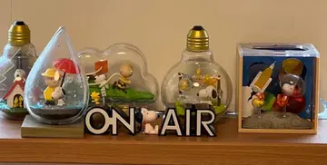 스누피 테라리움 등 총 6점