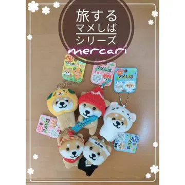 여행하는 마메시바 시리즈 5세트