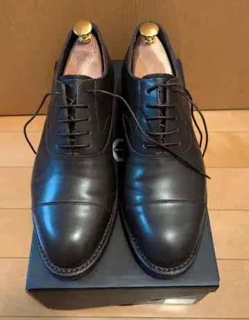 토모에 다크 브라운 플레인토 25.5